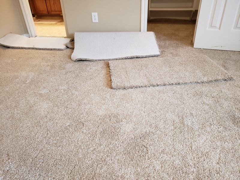 Basement Carpet Repair in Alpharetta, GA