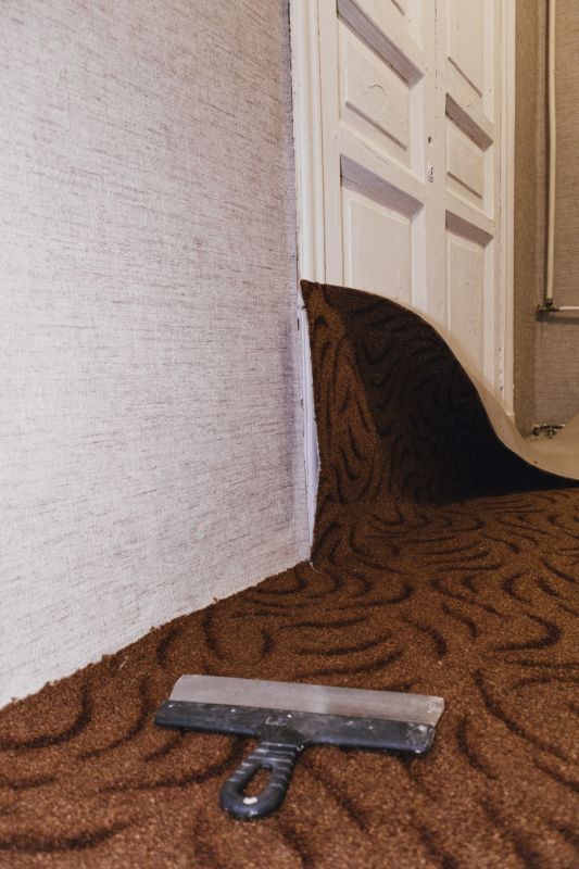 Carpet Hole Repair in Denver County, CO