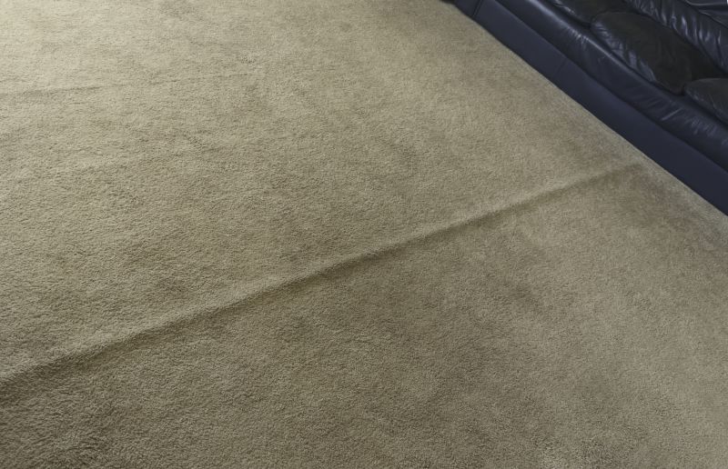 Carpet Smoothing in Olathe, KS