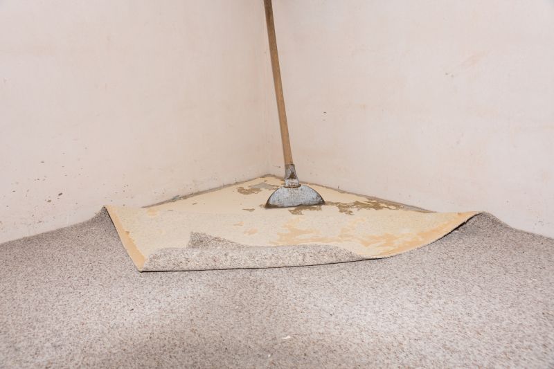 Carpet Tucking in Olathe, KS