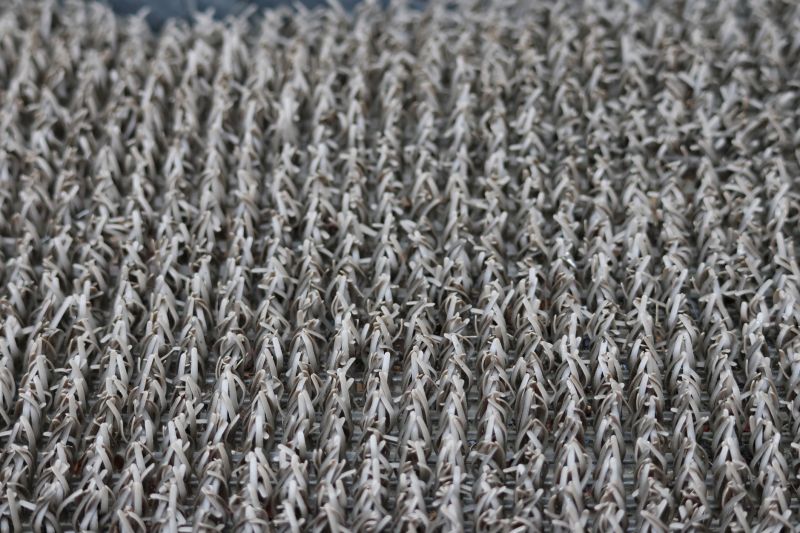 Commercial Carpet Repair in Overland Park, KS